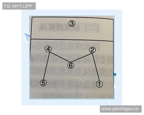 武汉排球队个人能力深度解析与排球技艺的完美结合